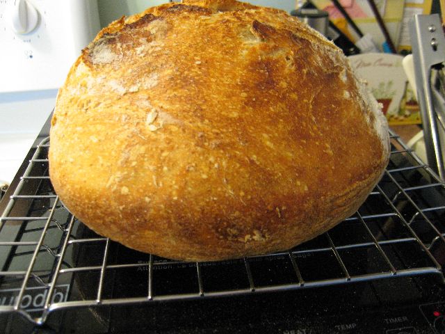 Bread.jpg